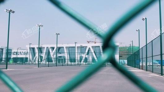 实景图