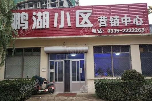 鹏湖商贸文化广场2期实景图