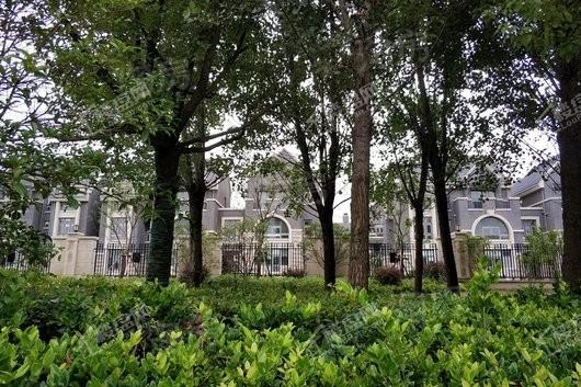 运河名墅实景图