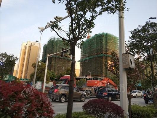 金轮蝶翠园实景图
