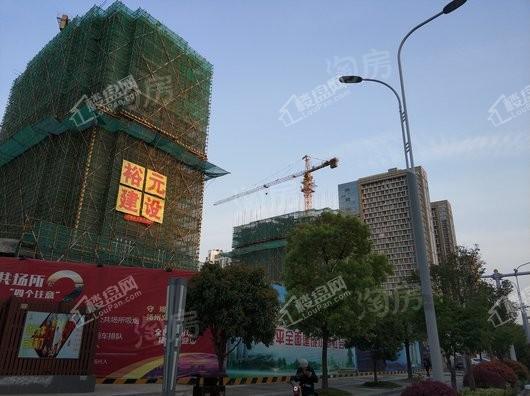 金轮蝶翠园实景图