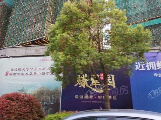 金轮蝶翠园实景图