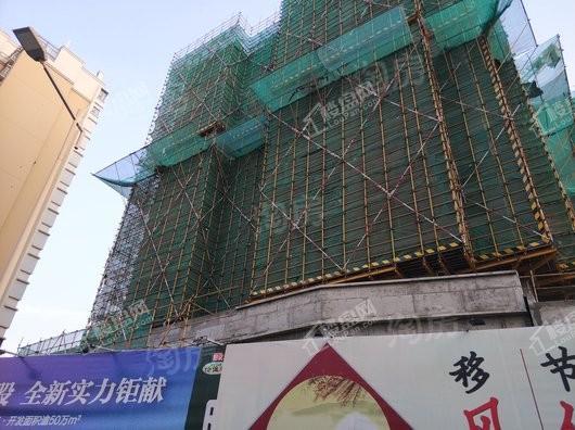 金轮蝶翠园实景图