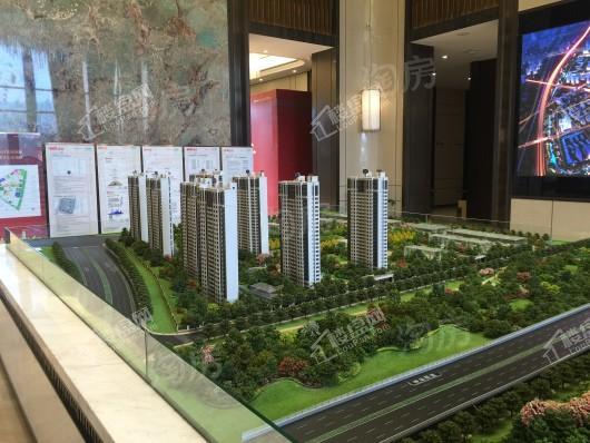 江宁金茂悦云筑实景图
