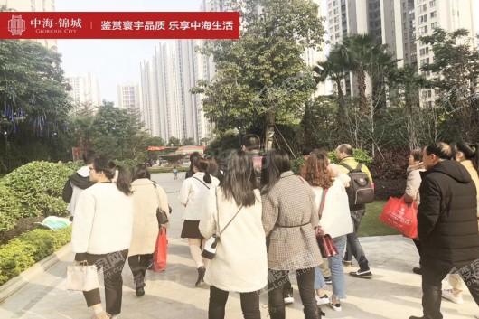 中海锦城实景图