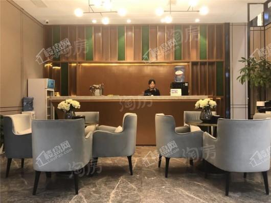 中建·开元御湖公馆实景图