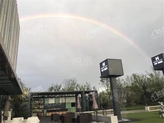 正荣·悦都荟实景图