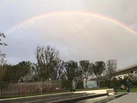 正荣·悦都荟实景图