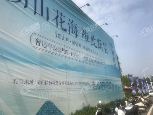 禹洲·平湖秋月实景图