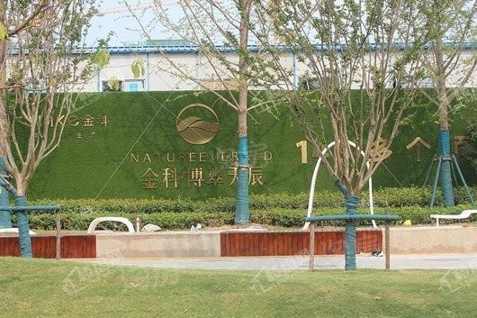 金科·博翠天辰实景图