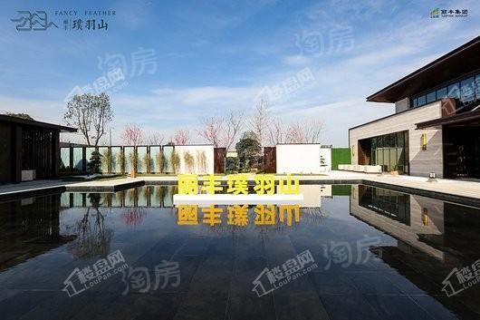 丽丰璞羽山实景图