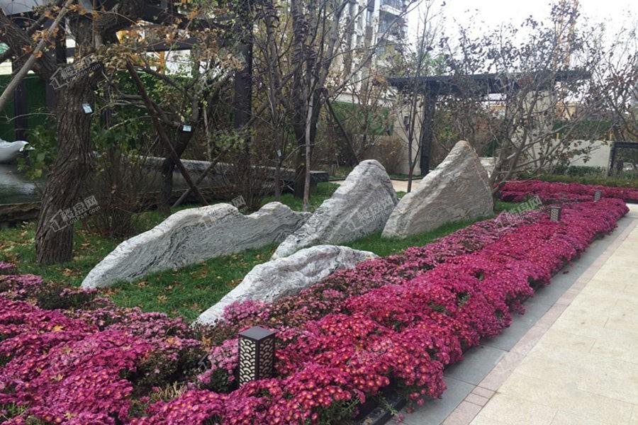 金地旭辉九韵风华实景图