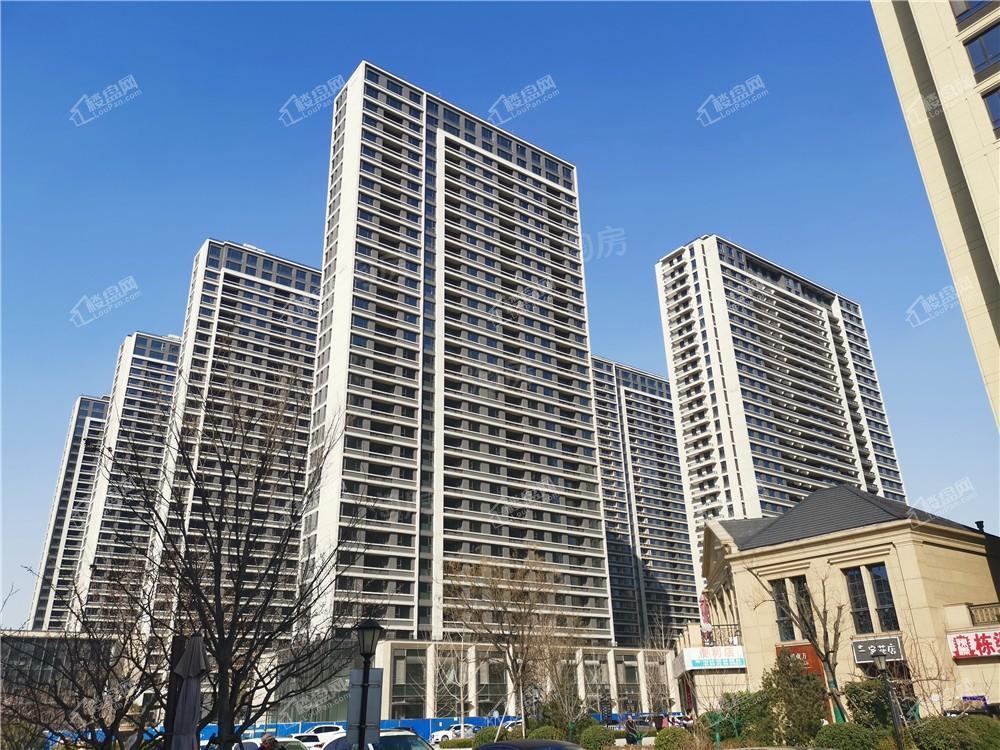 淄博绿城·百合花园紫薇园二期实景图
