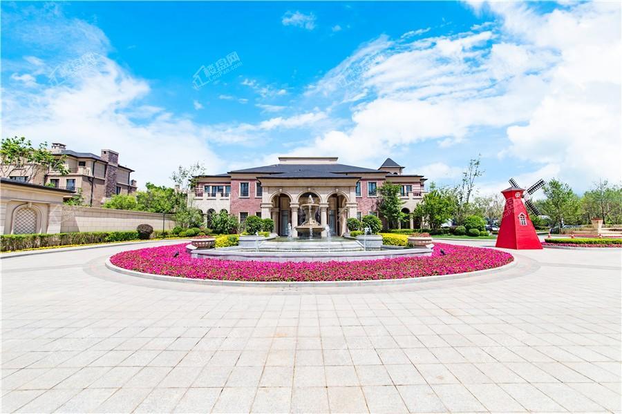 新湖美丽洲实景图