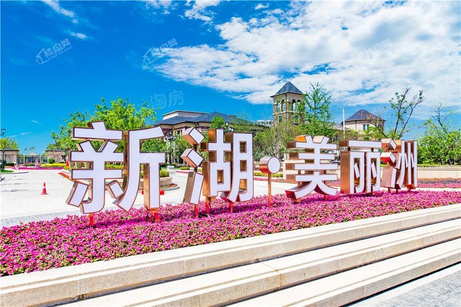 新湖美丽洲实景图