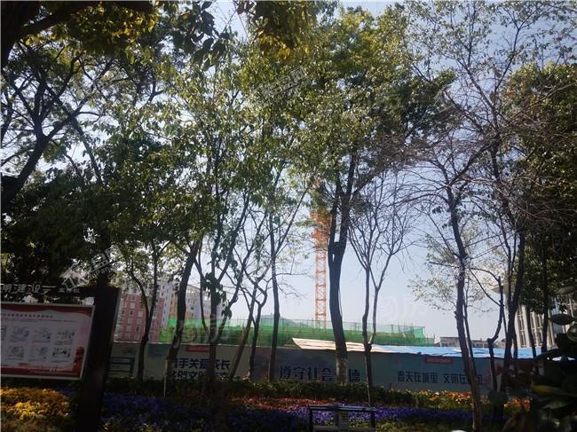 俊发九夏云水克拉公寓实景图