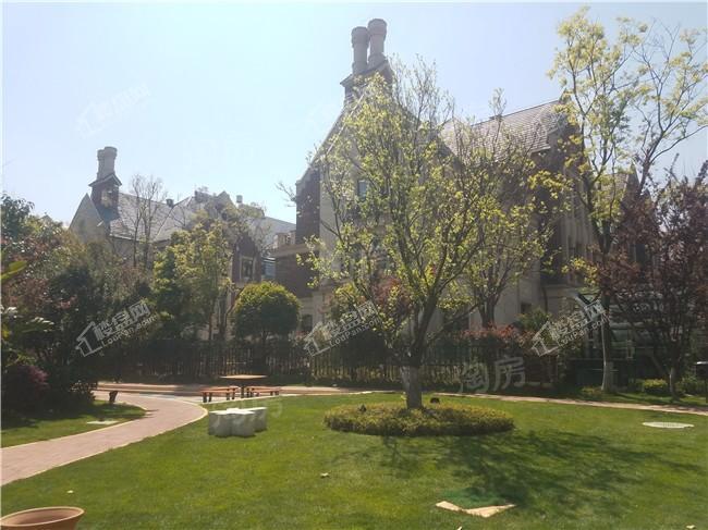 俊发九夏云水实景图