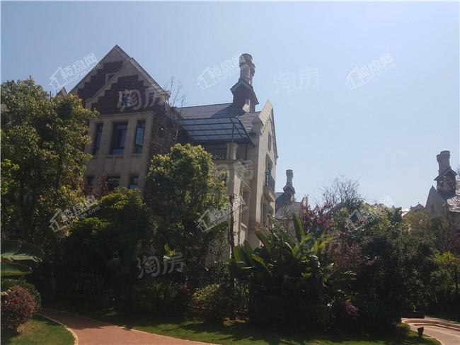 俊发九夏云水实景图