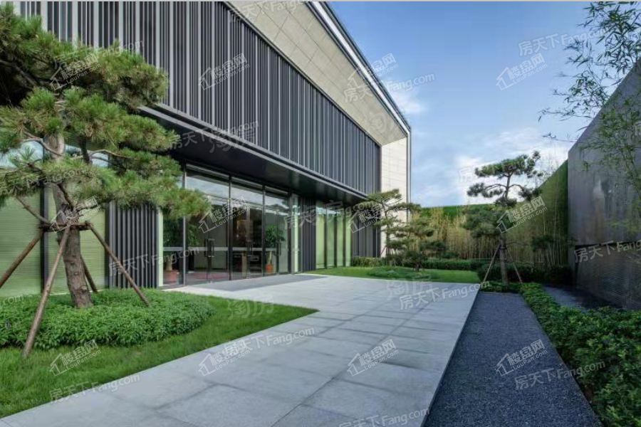 金辉中央云著实景图