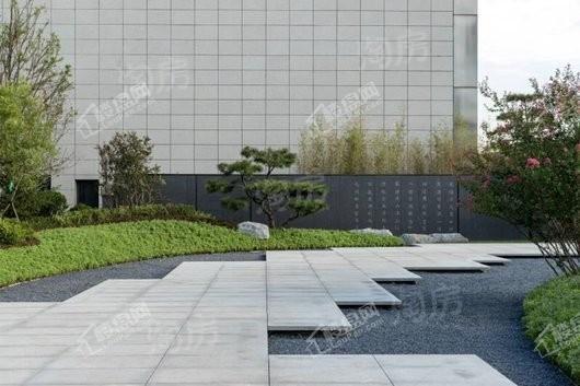 金辉中央云著实景图