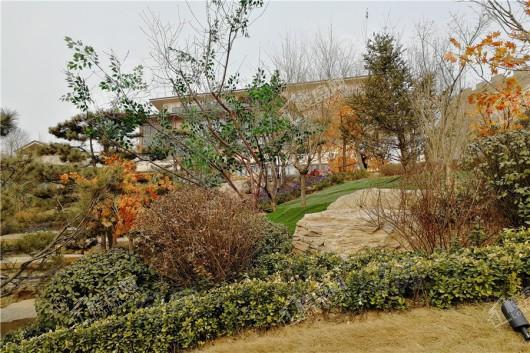 富力西柏水镇实景图