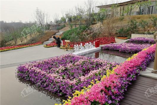 富力西柏水镇实景图