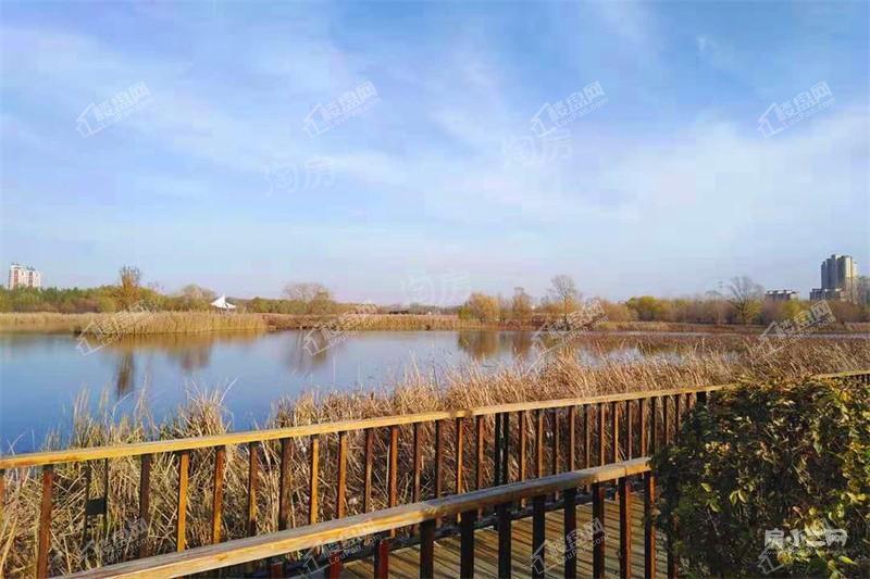 清河半岛别墅实景图