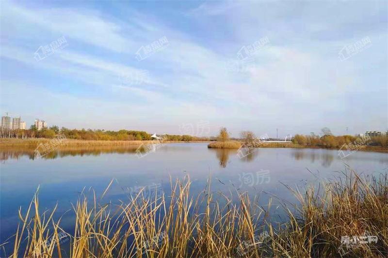 清河半岛别墅实景图