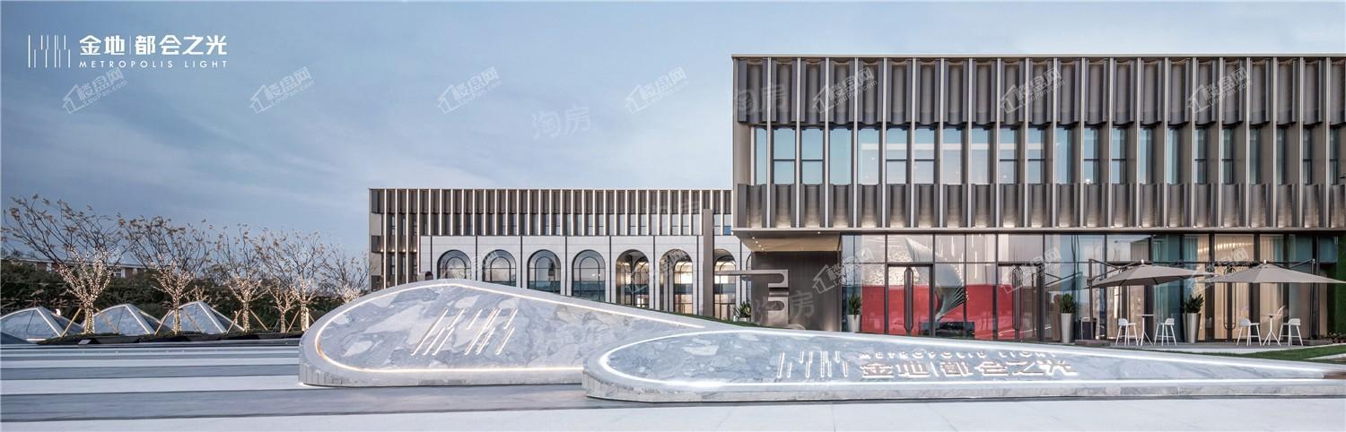 金地·都会之光实景图