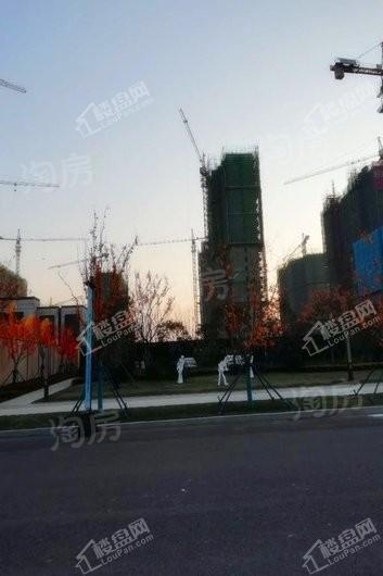 中南熙悦实景图