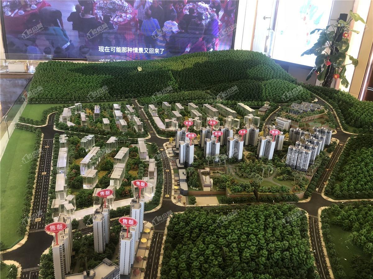 碧桂园御龙半山实景图