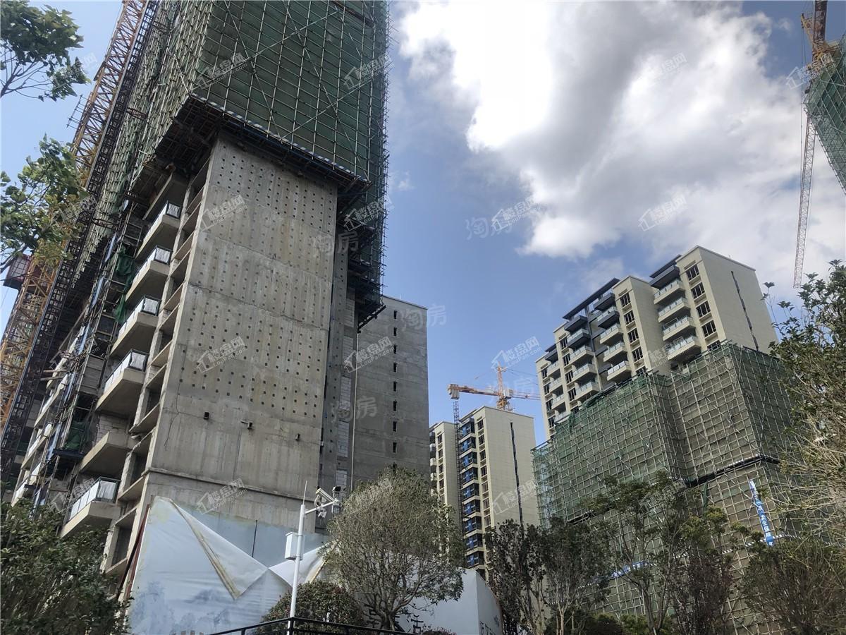 碧桂园御龙半山实景图