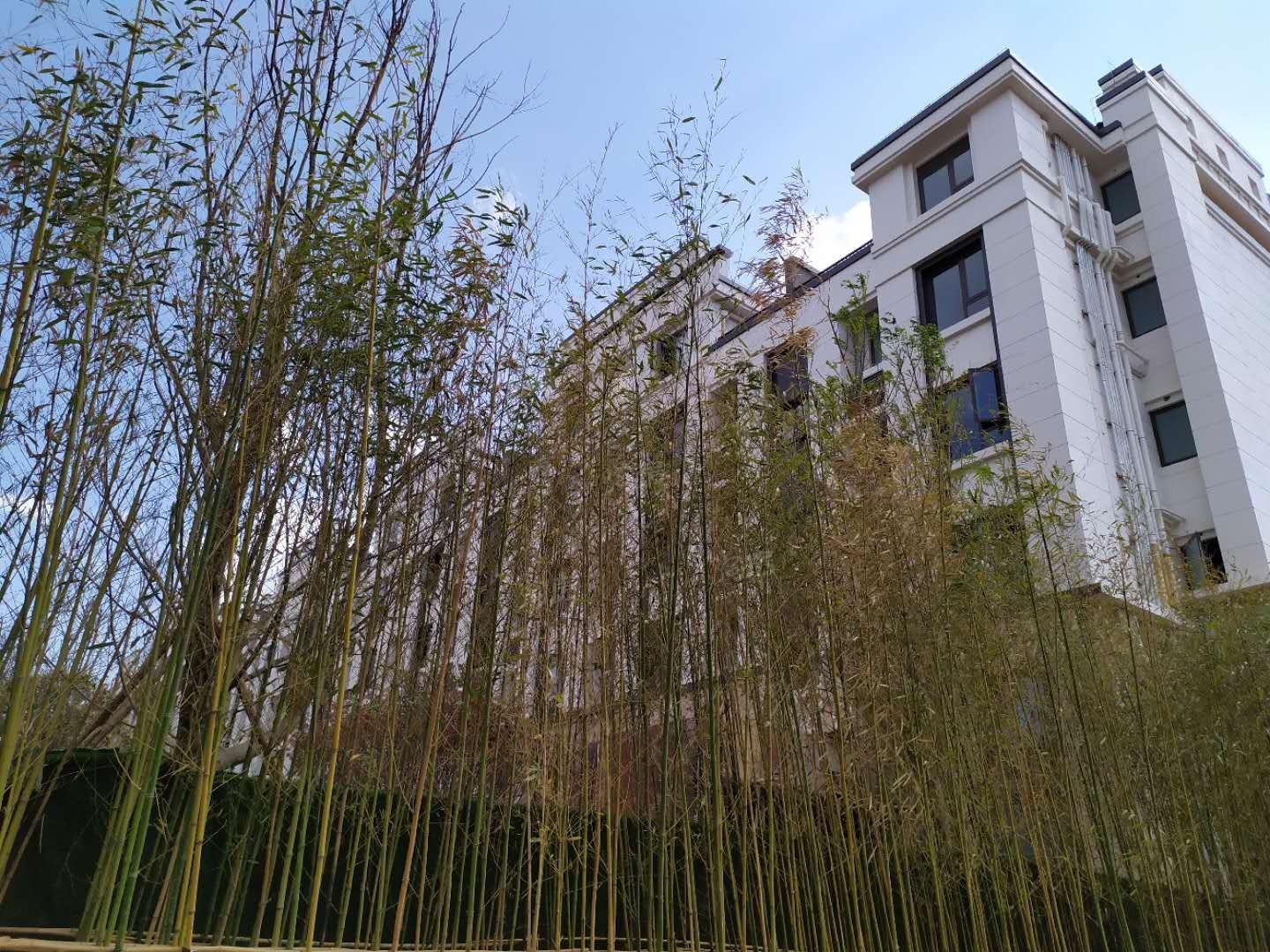 中海云麓九里实景图