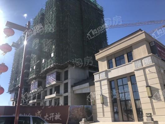 慧谷臻园实景图