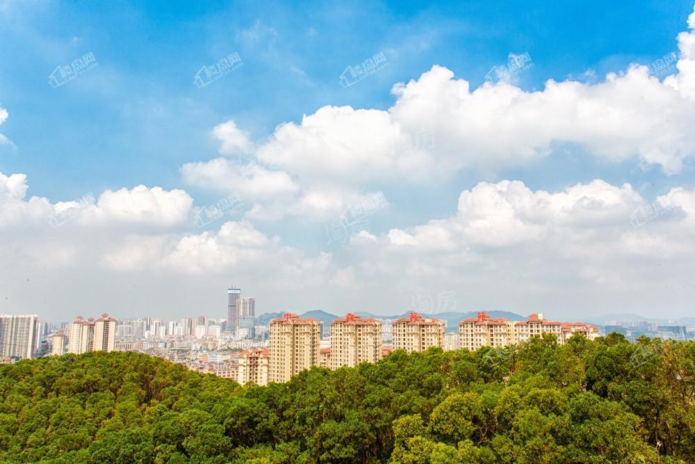 中森茗苑实景图