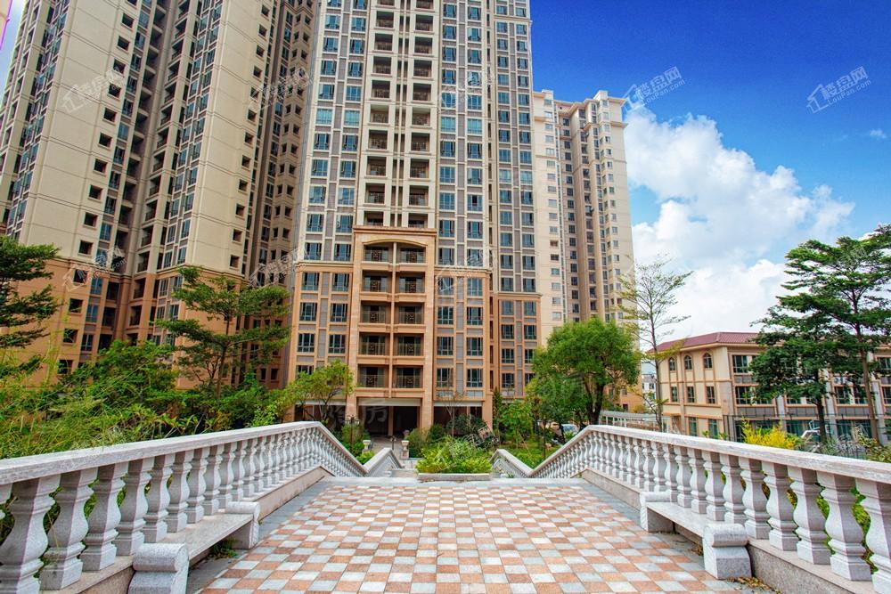 中森茗苑实景图