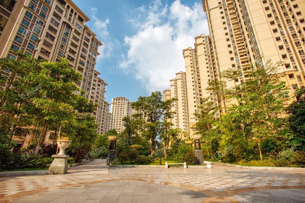 中森茗苑实景图