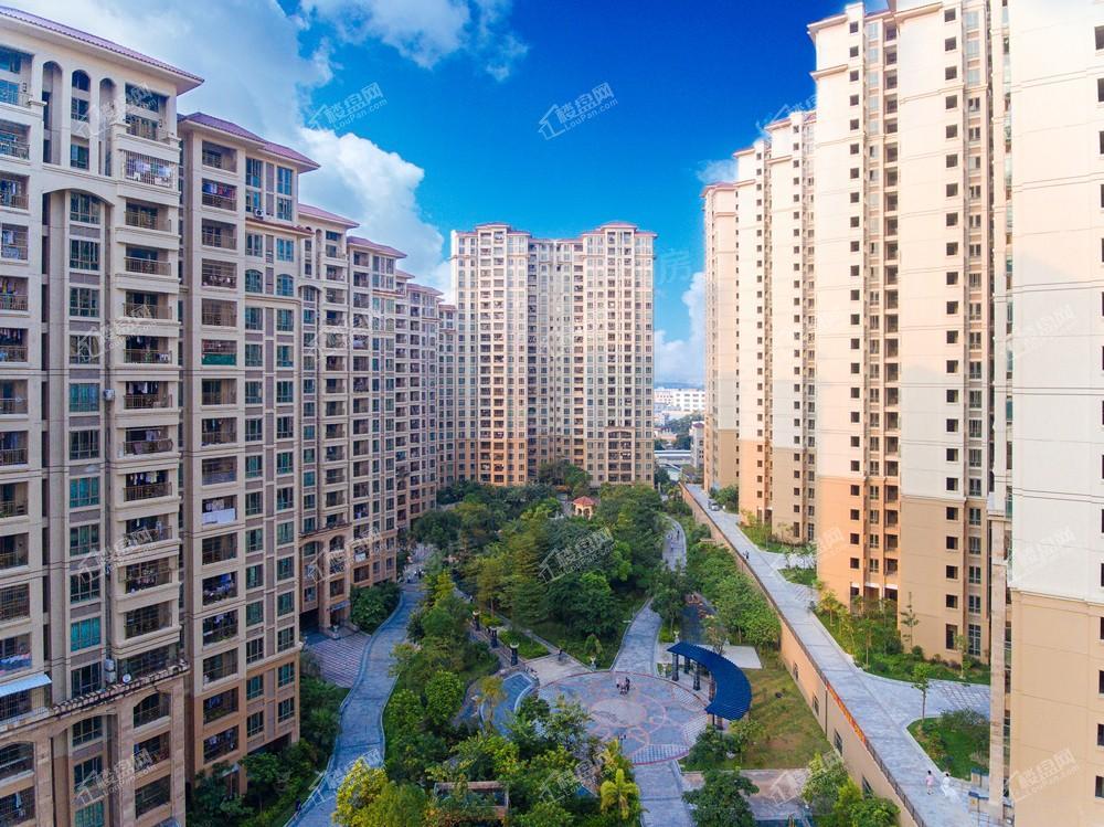 中森茗苑实景图