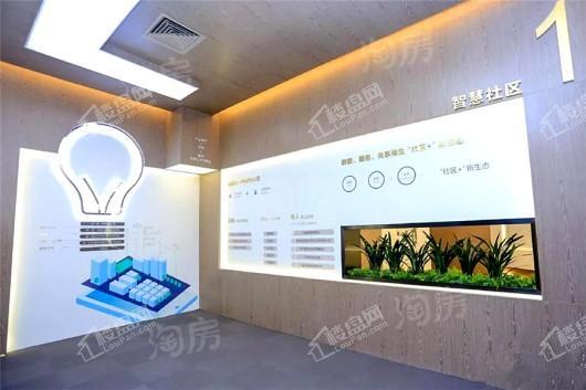 花样年家天下实景图