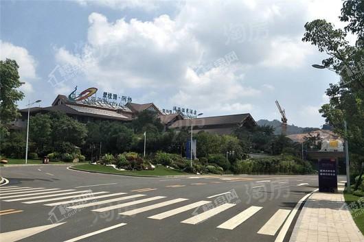 碧桂园·润杨溪谷实景图