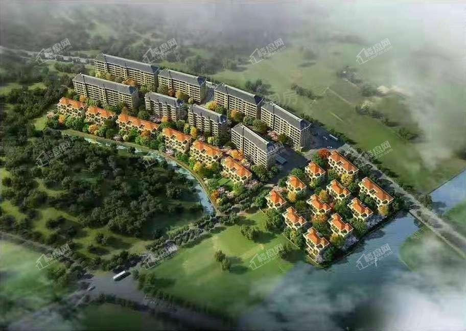 金色凤凰园效果图