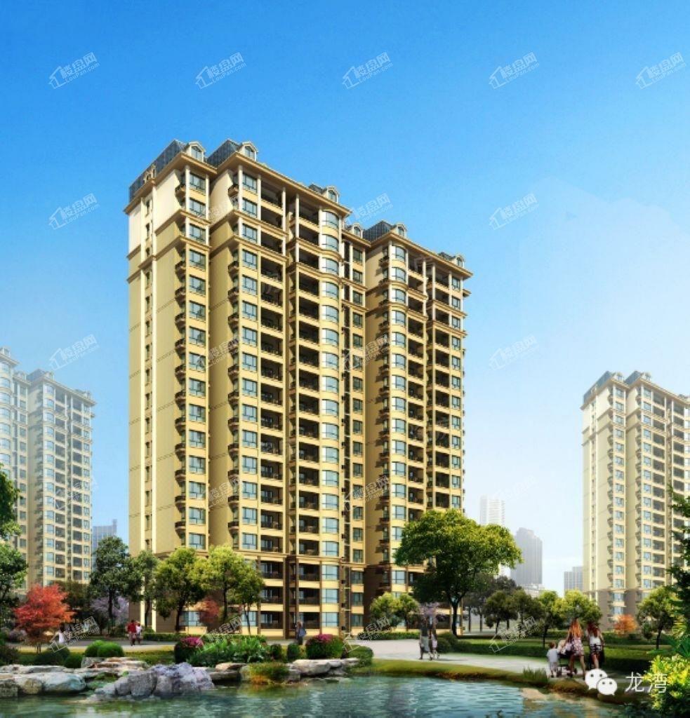 龙湾效果图