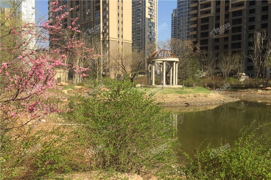 华府丹郡实景图