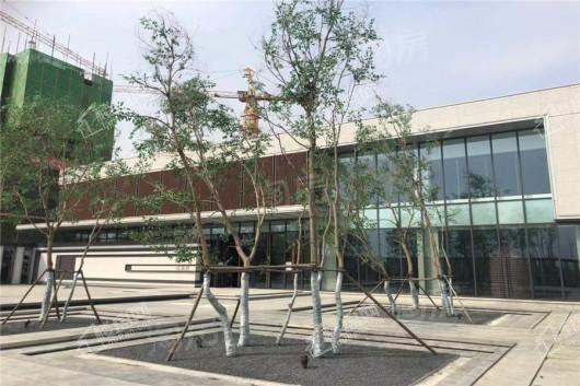 城南正荣府实景图