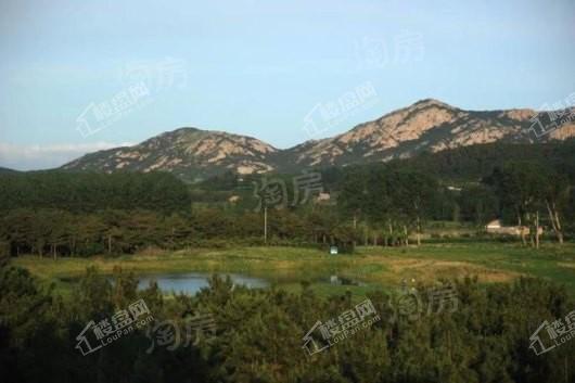 海暖樱花公馆配套图