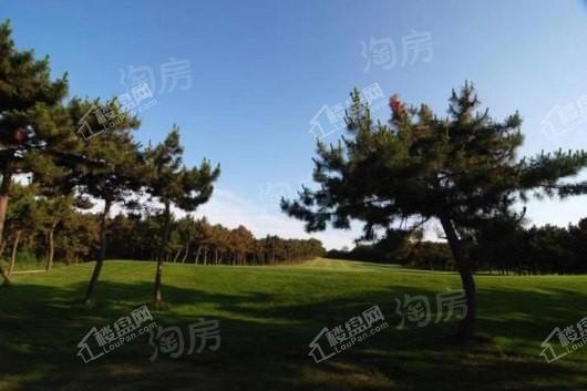 海暖樱花公馆配套图