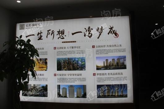 宝湾·国际城实景图