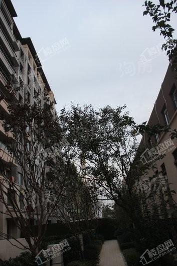 中海城实景图