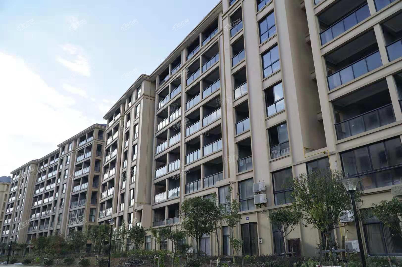 金色凤凰园实景图