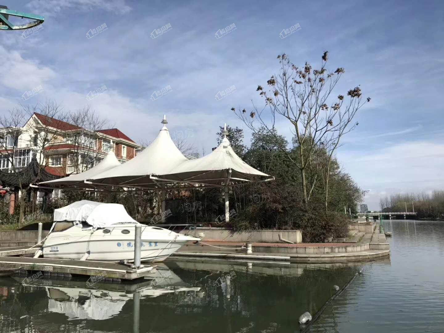置业东泽博园实景图